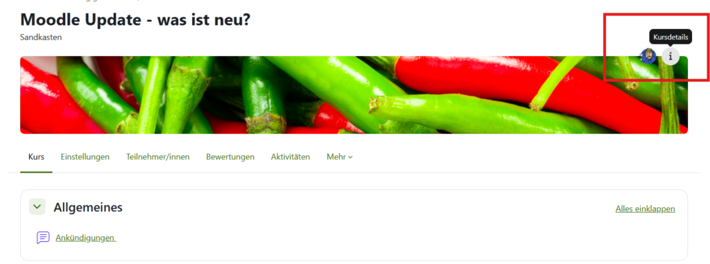 Screenshot Kurskopfbereich mit Info-Button