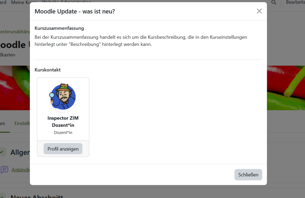 Screenshot ausgeklappte Information, nach Klick auf Infobutton im Kurskopfbereich